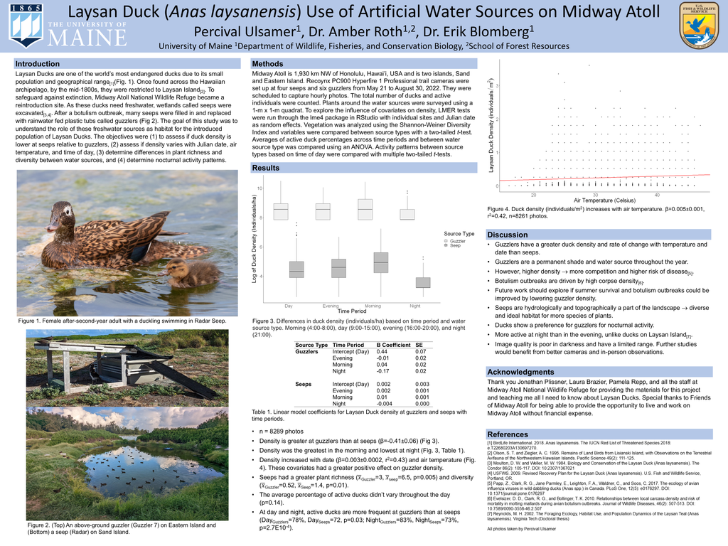 Laysan Duck Use of Artificial Freshwater Sources on Midway Atoll slide1